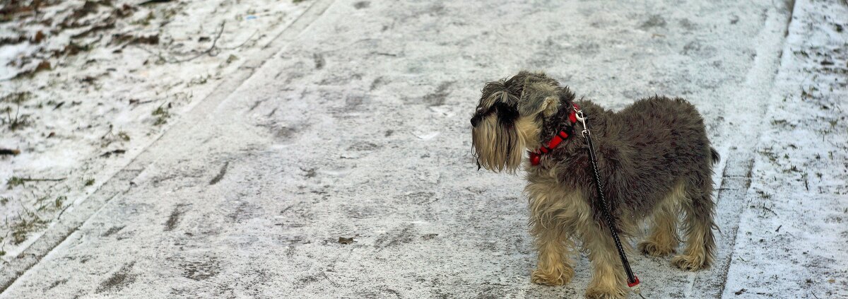 Москва. 01.01.2020 - ВАЛЕРИЙ 