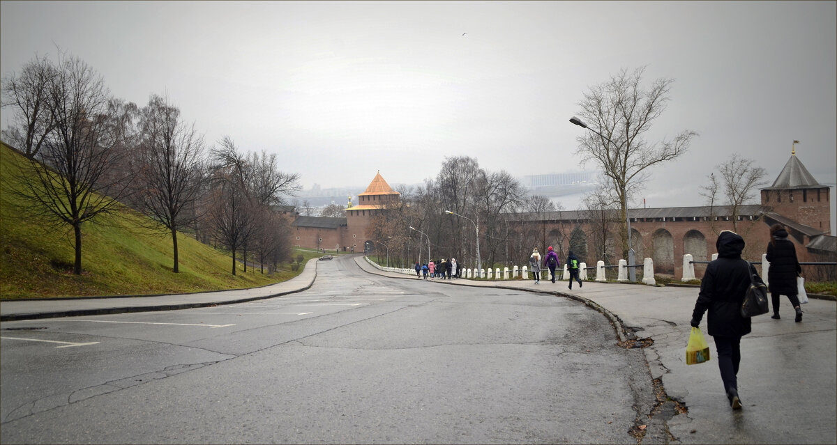 Туманный день - Нина Синица