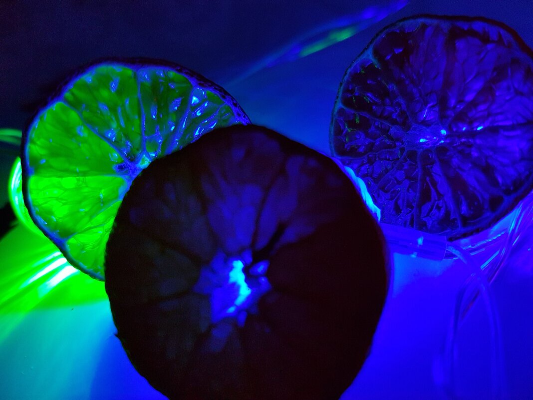 Мандаринки - колечки - Светлана 