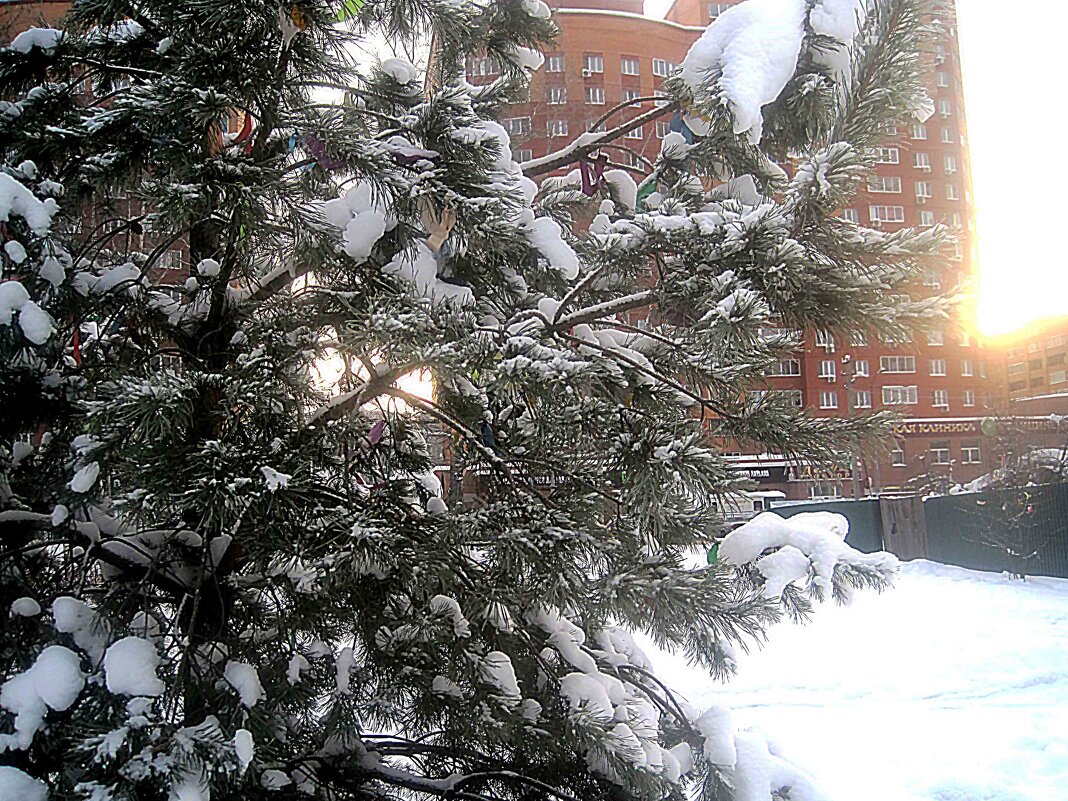 Зимой в городе - Елена Семигина