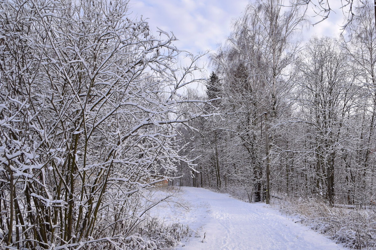Дорога - Татьяна 