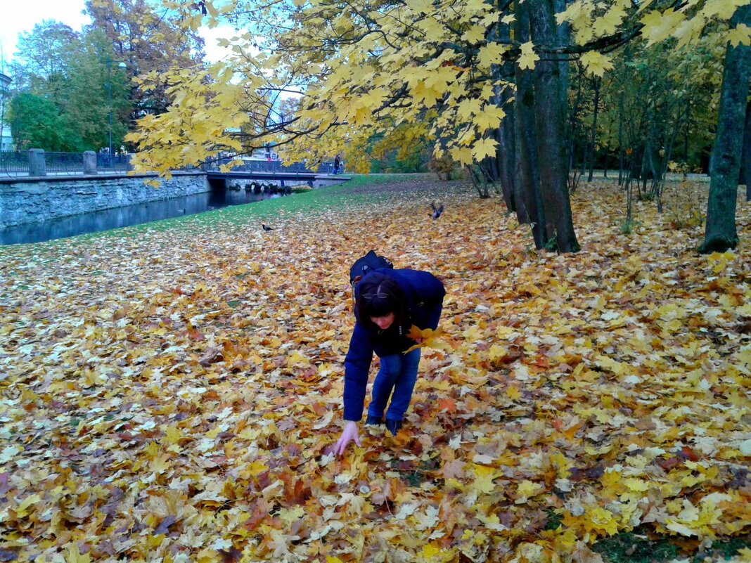 Осень в Царском селе - Елена Виноградова