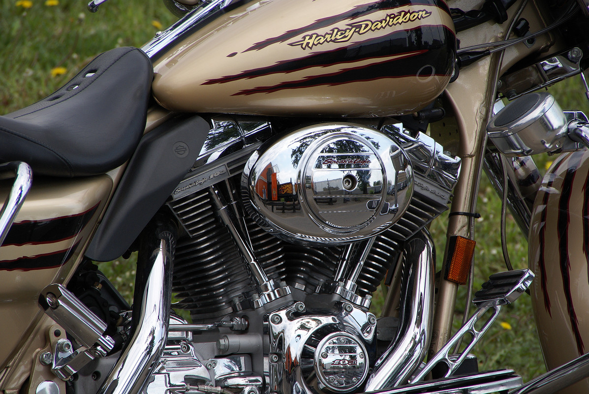 Фрагмент легены с отражением клуба. - Яков Реймер Фрагмент легены с отражением клуба. - Яков Реймер