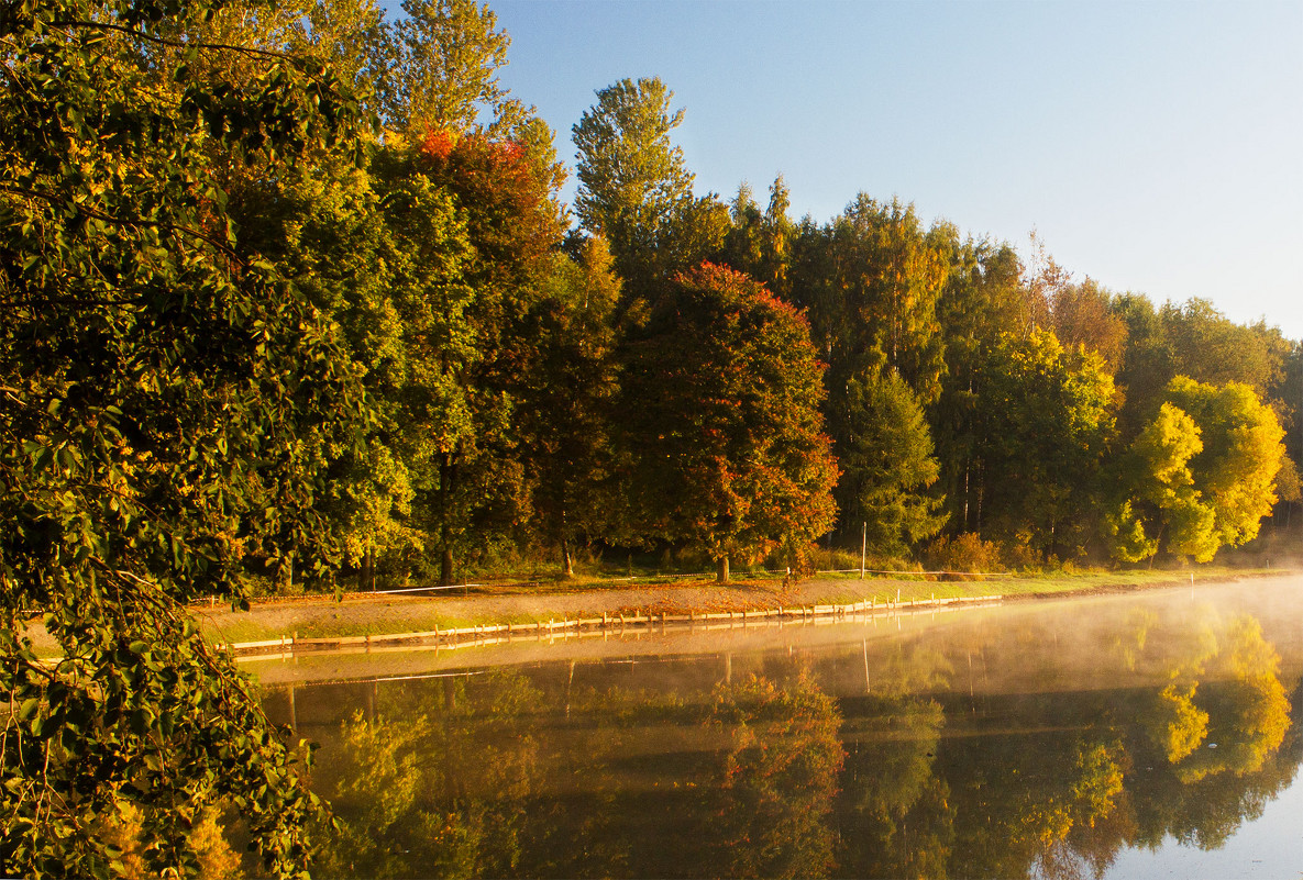 * - Алексей Герасимов