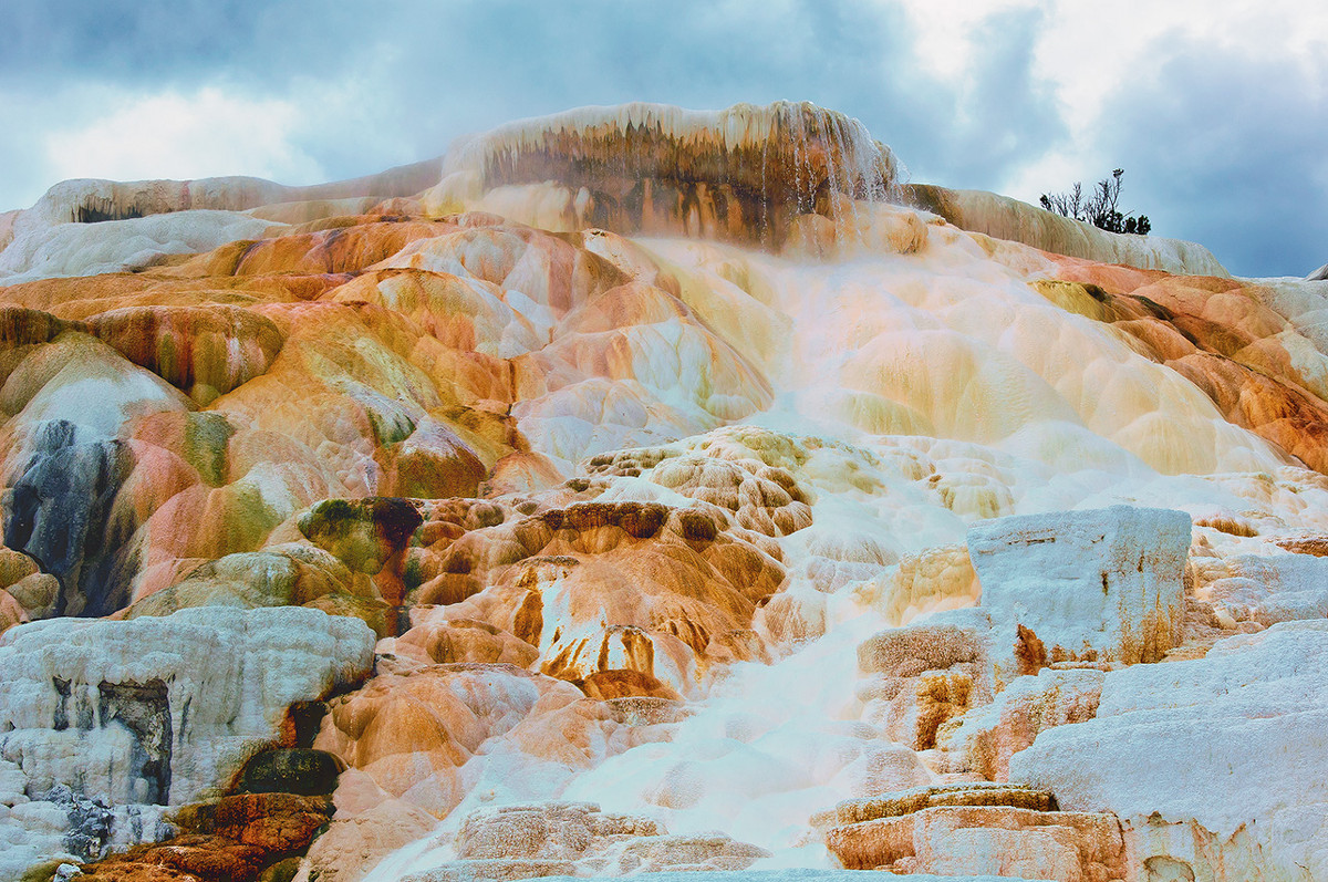 Yellowstone - Lucky Photographer