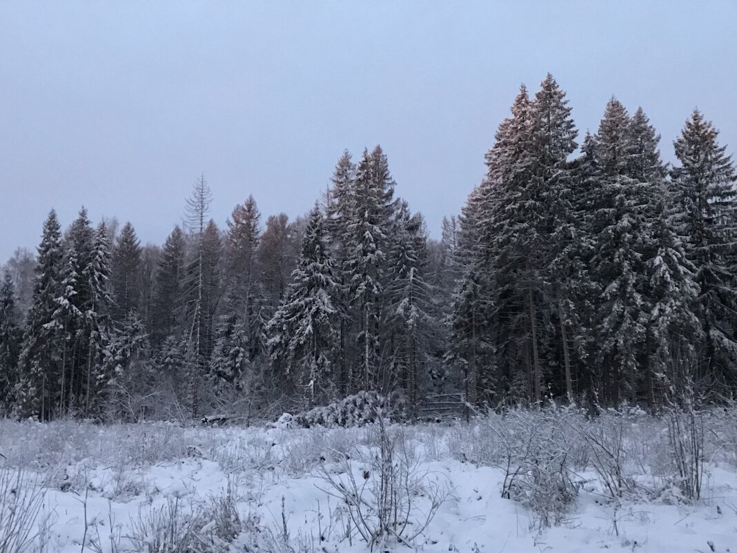 Зимнее утро... - Александр Филатов