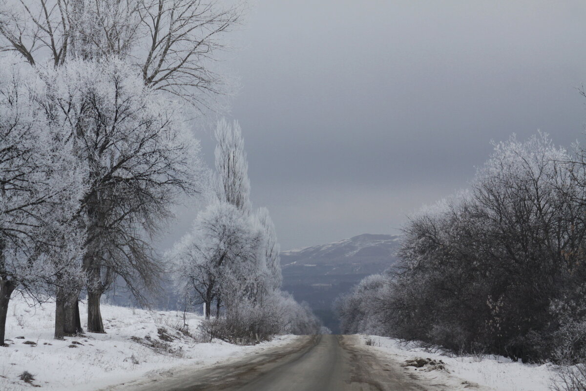 Зимняя дорога домой... - M Marikfoto