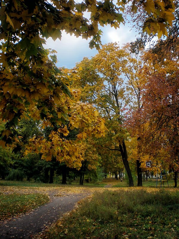 Осень - Роман Савоцкий