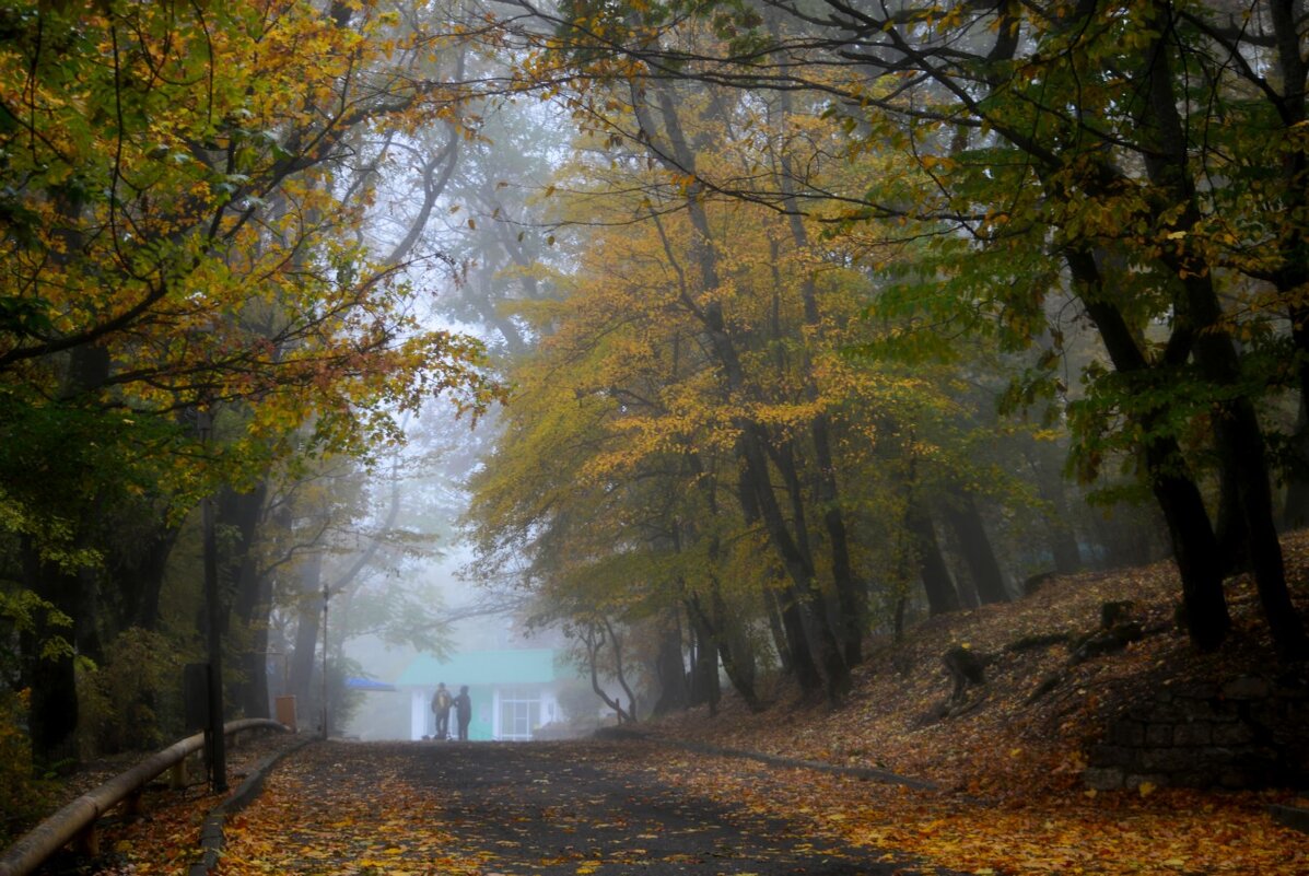 В парке осеннем....... - Юрий Цыплятников