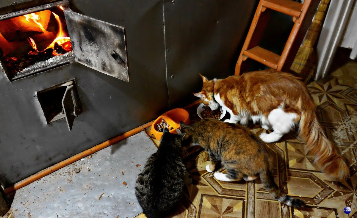 Семейный ужин в одной деревне - Екатерина Забелина