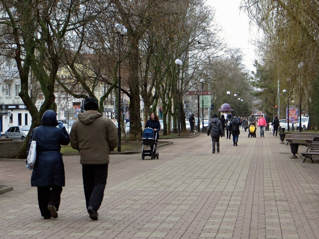 Температура воздуха в январе 2020 года в Ростове-на-Дону колебалась от -3 до +9 - Татьяна Смоляниченко