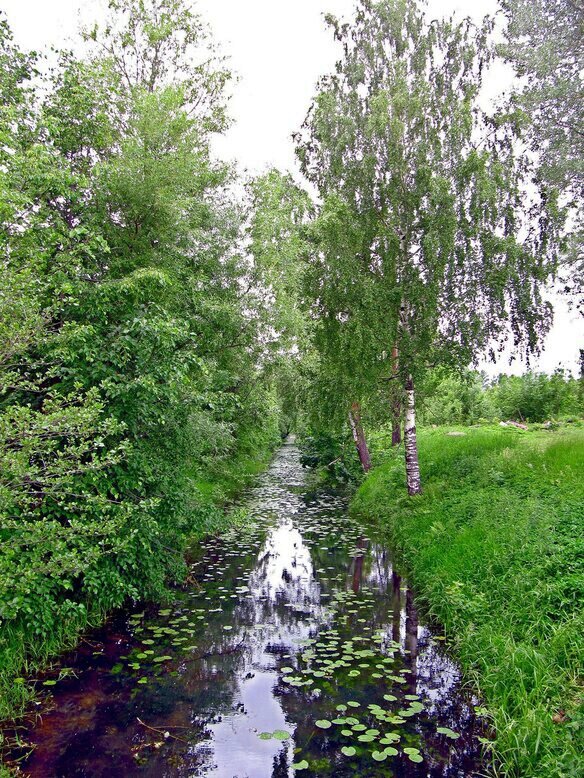 Канава - Вера Щукина