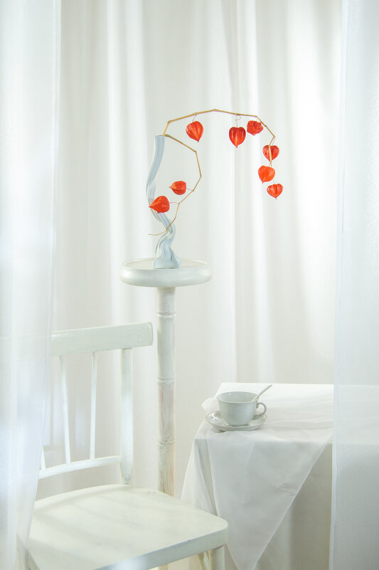 Физалис в высоком ключе - Владимир Новиков