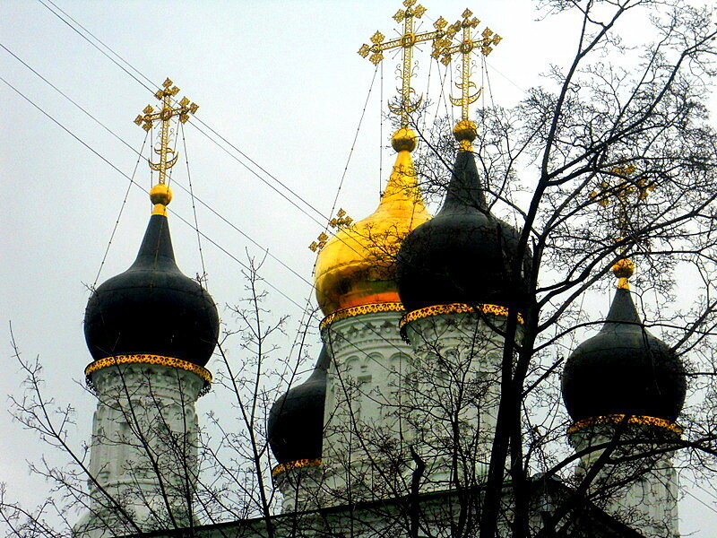 Московских храмов купола. - Восковых Анна Васильевна 