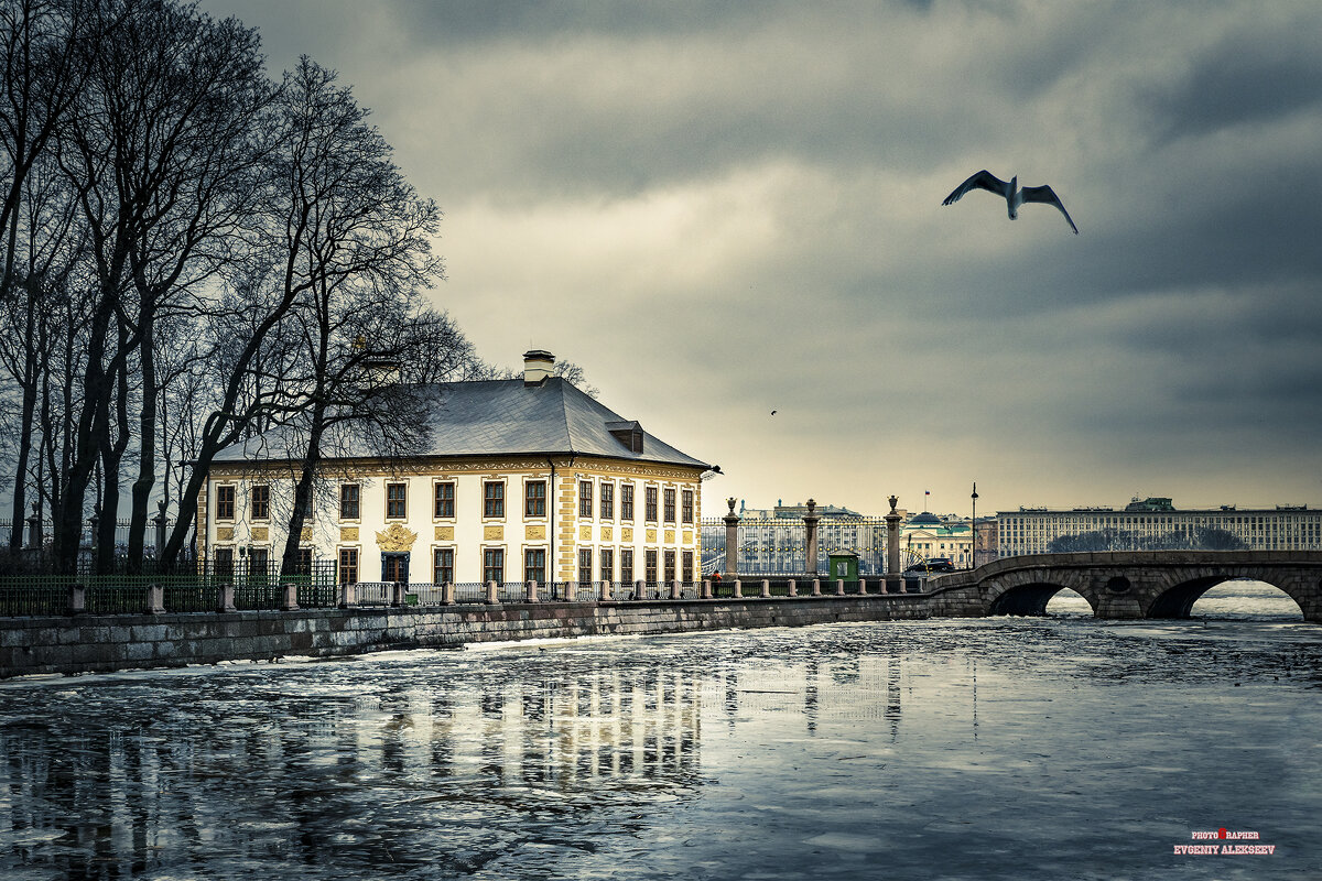 ... - Евгений Алексеев