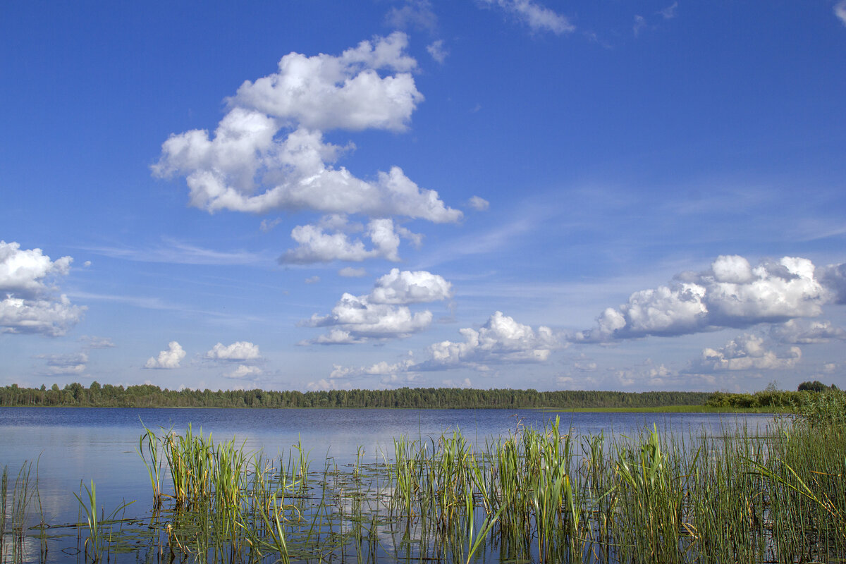 *** - Елена Елена