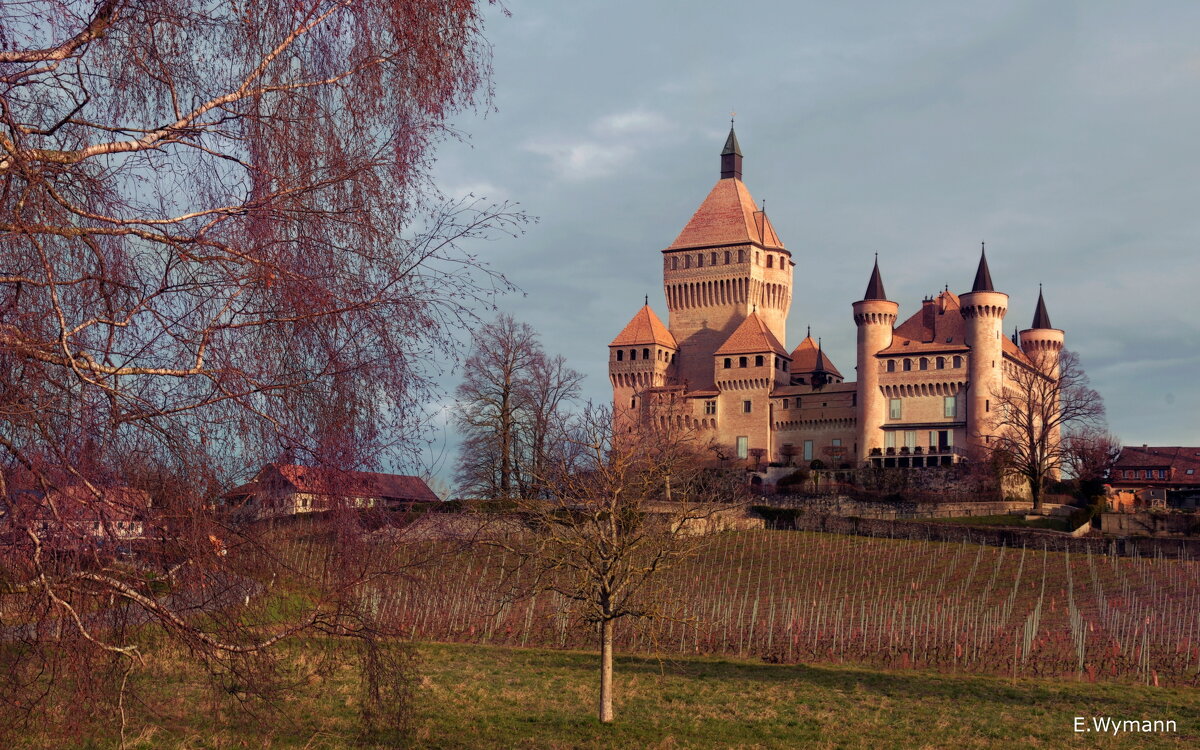 Vufflens le Chateau - Elena Wymann