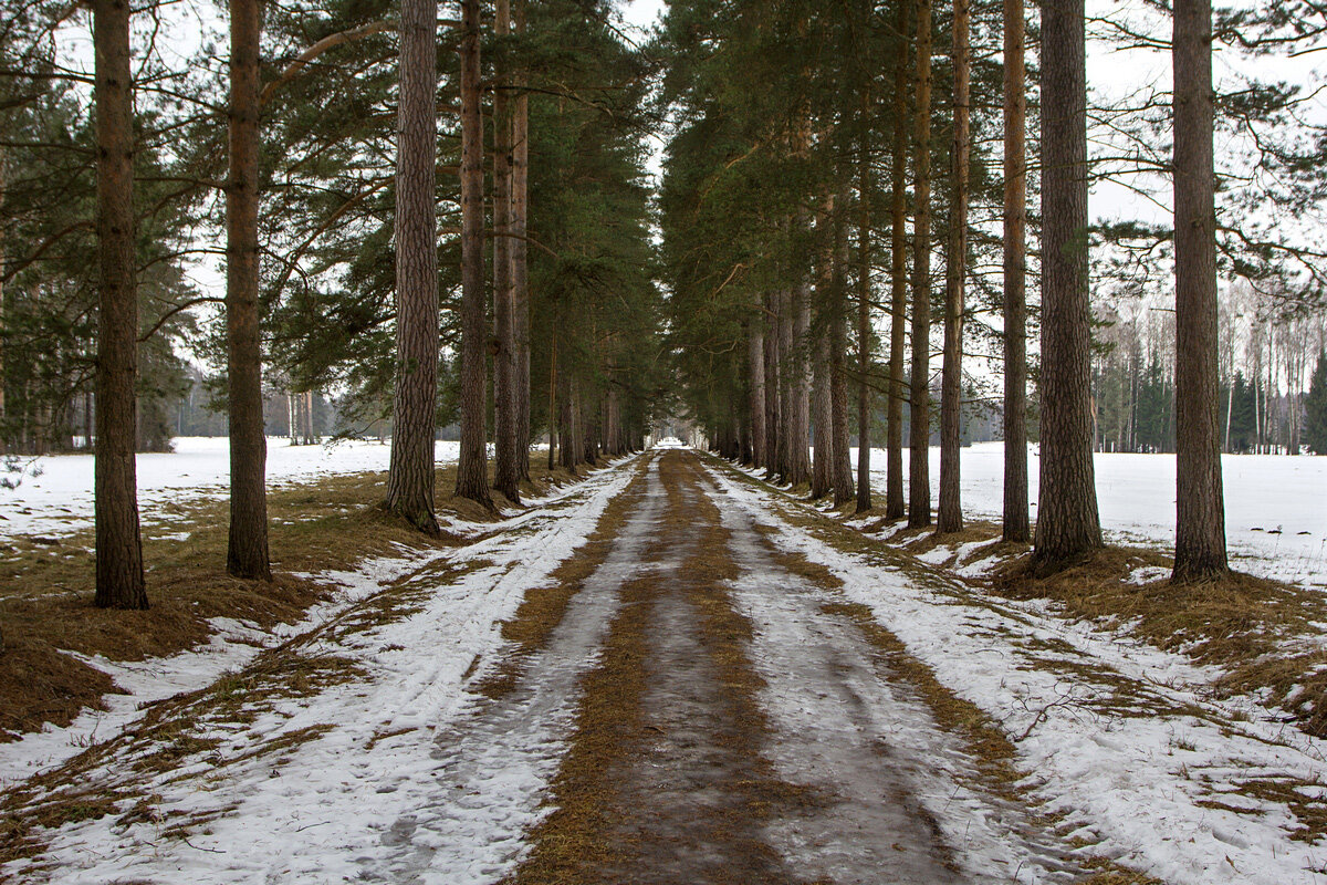 ** - Елизавета .