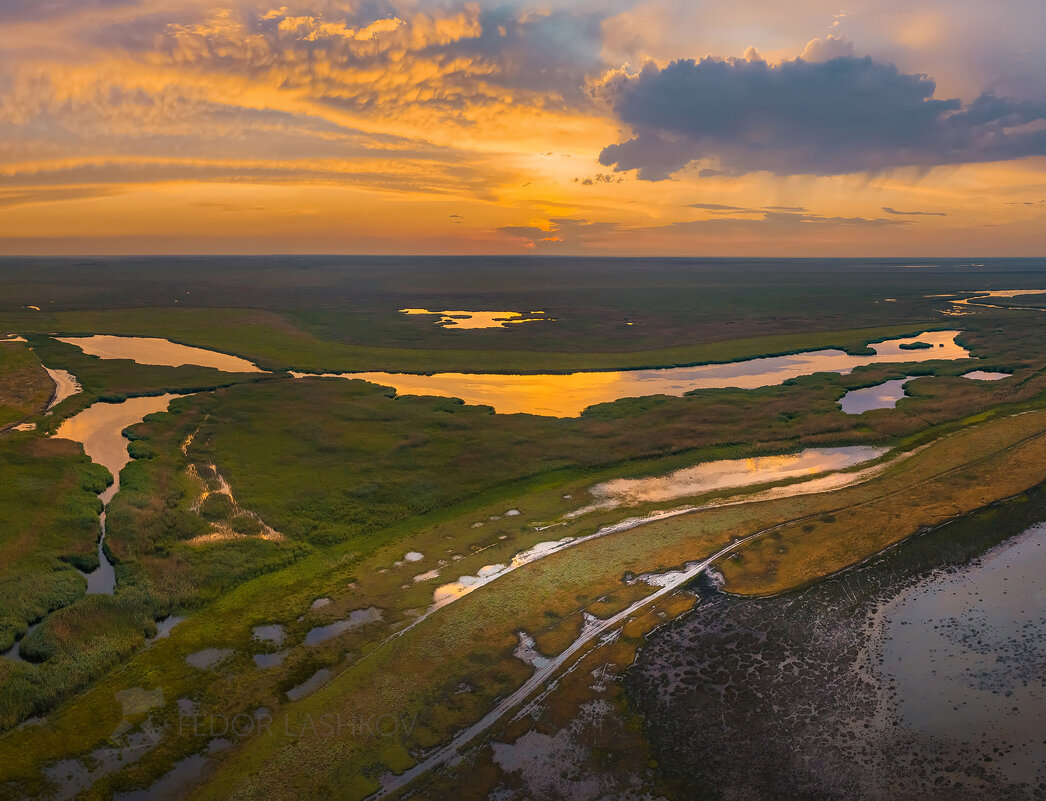 Водно-болотный комплекс - Фёдор. Лашков