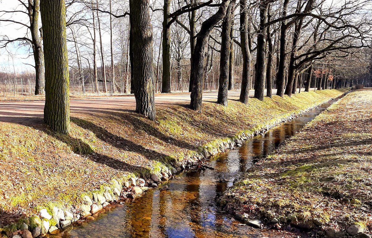 Царское Село. Март - Наталья Герасимова