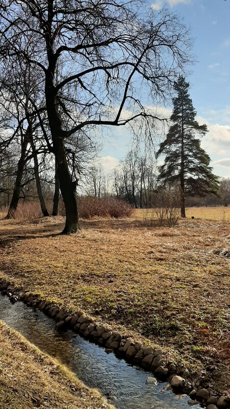 Царское Село. Март - Наталья Герасимова