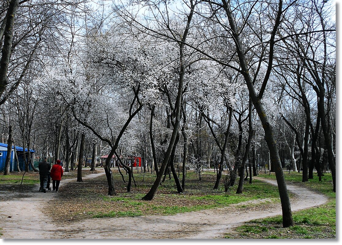 Весна в разгаре - Людмила 