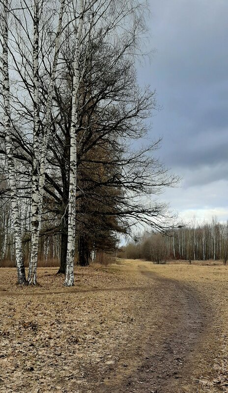 Царское Село. Март - Наталья Герасимова