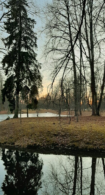 Александровский парк. Март - Наталья Герасимова