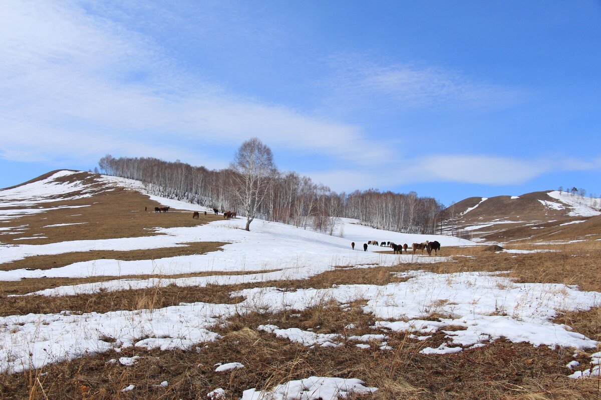 На просторах Хакасии - Лариса 