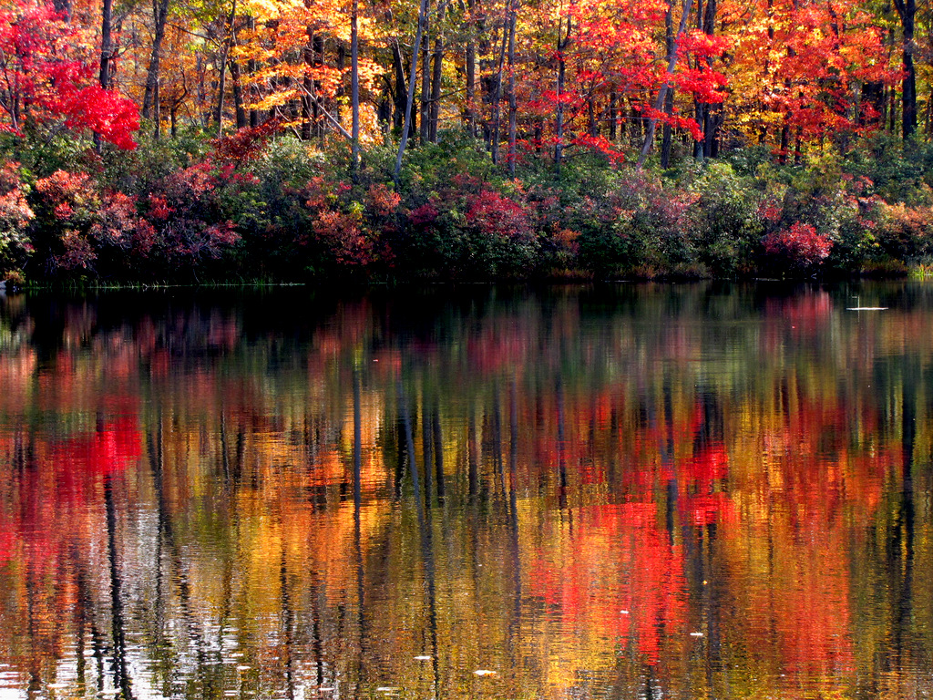 Акварель. - Slava Sh