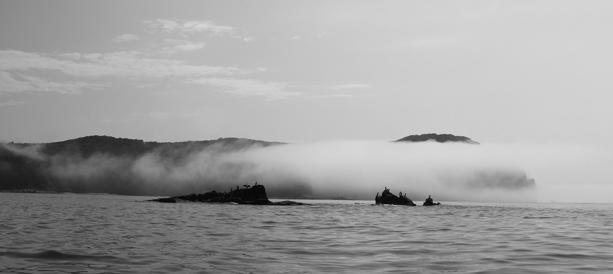 СКАЛЫ - Павел Богданов