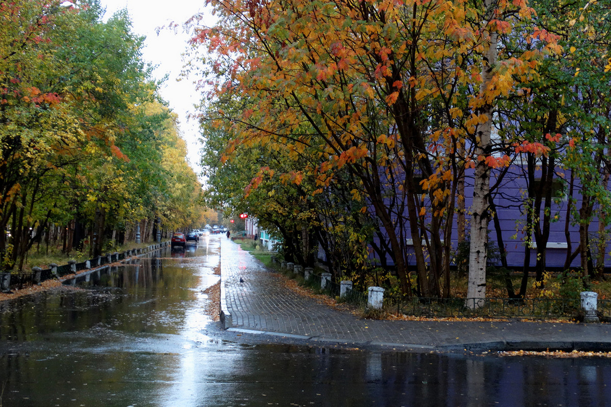 дождливый день - Людмила Романова