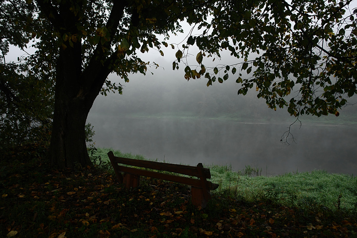 Посидим? - Ксения Соварцева