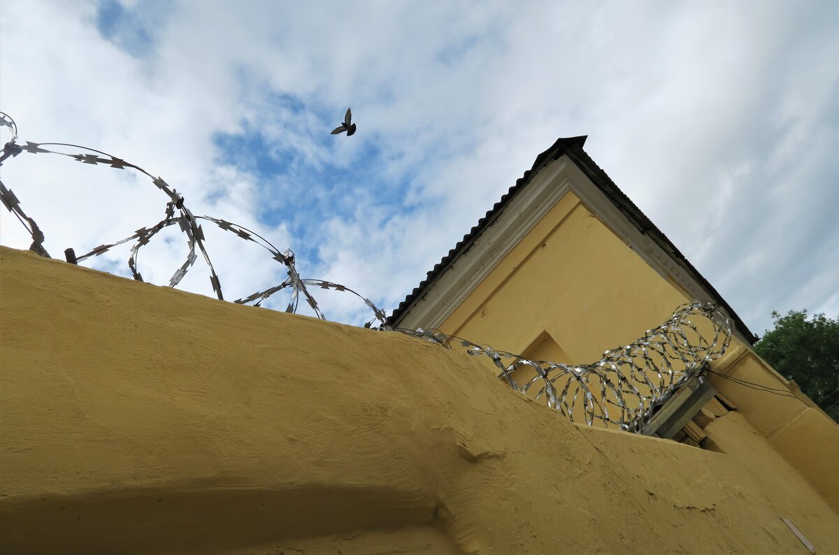 .. - Людмила Лихоманова