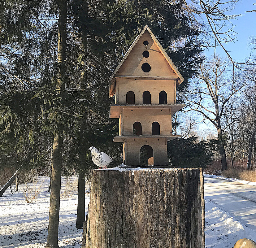 Кормушка - Валентина Жукова