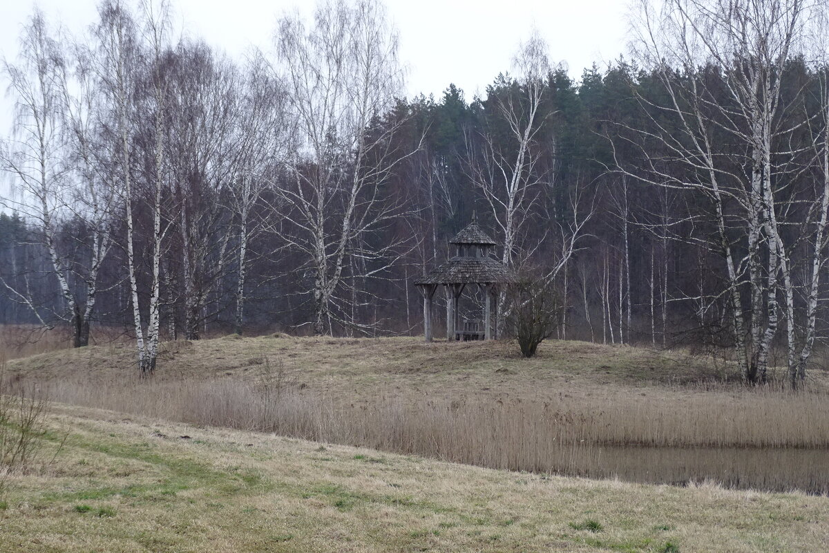 природа еще не проснулась - Anna-Sabina Anna-Sabina природа еще не проснулась - Anna-Sabina Anna-Sabina