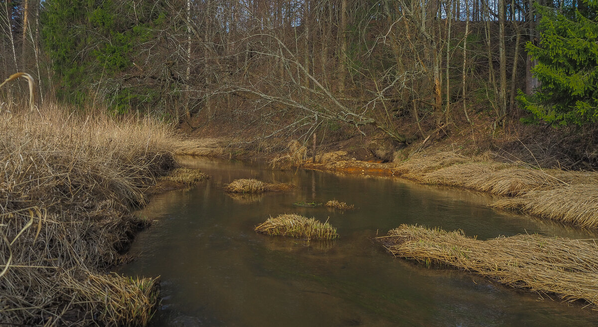 Весенние - юрий поляков Весенние - юрий поляков