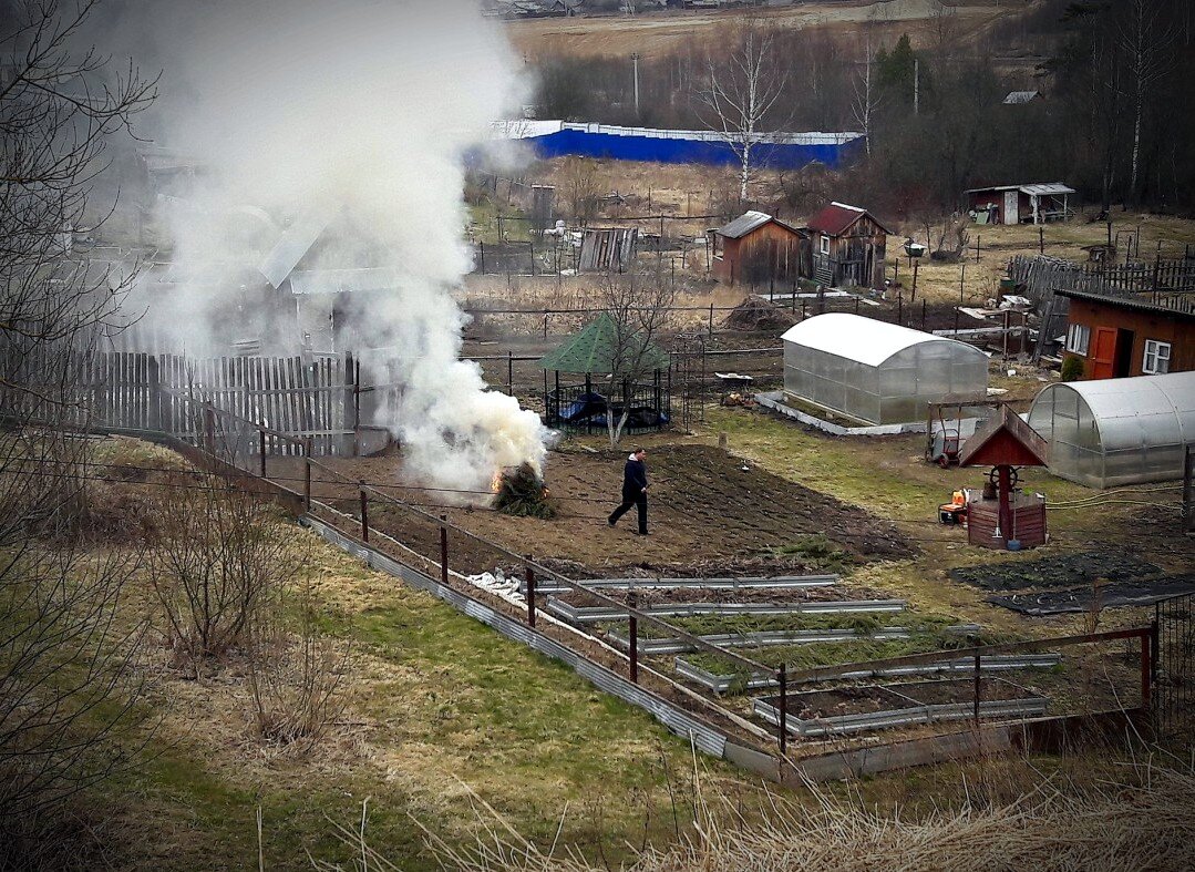 огородные будни - Любовь 