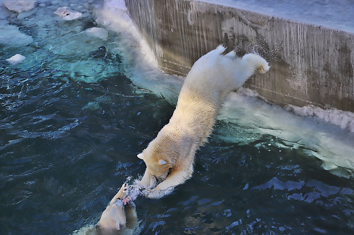 БМ - аркадий 