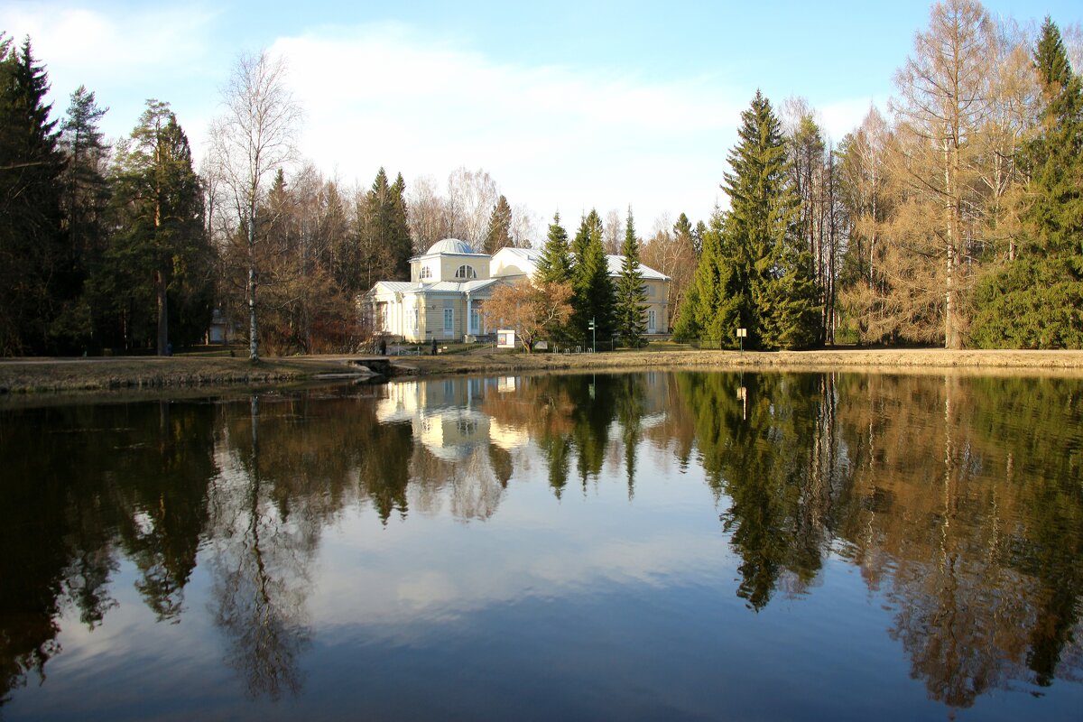 Павловский парк. Март - Наталья Герасимова