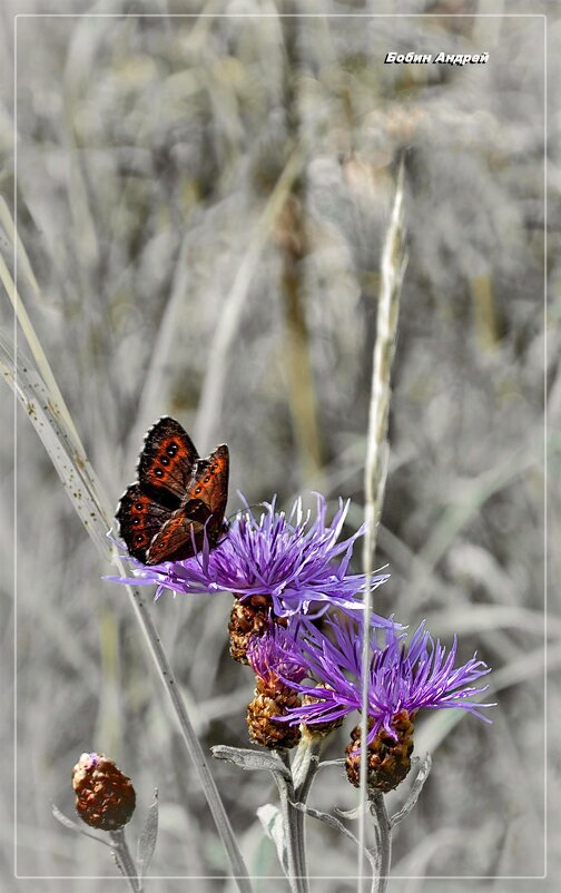Настроение - Андрей Бобин