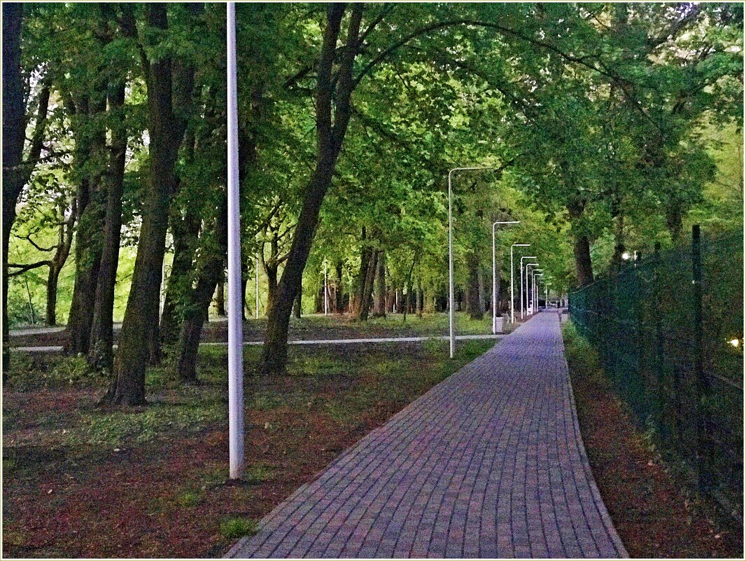 Аллея парка. - Валерия Комова Аллея парка. - Валерия Комова