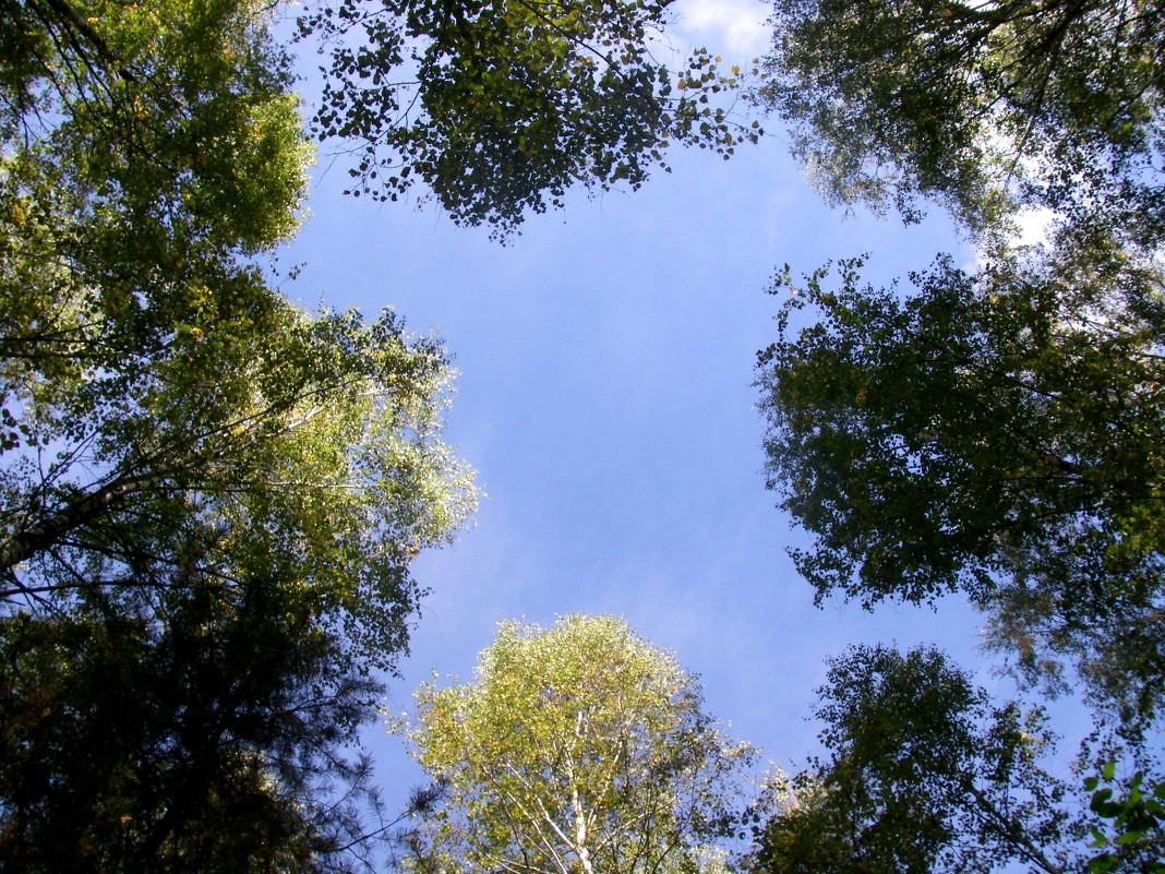Какое небо голубое..... - мария п