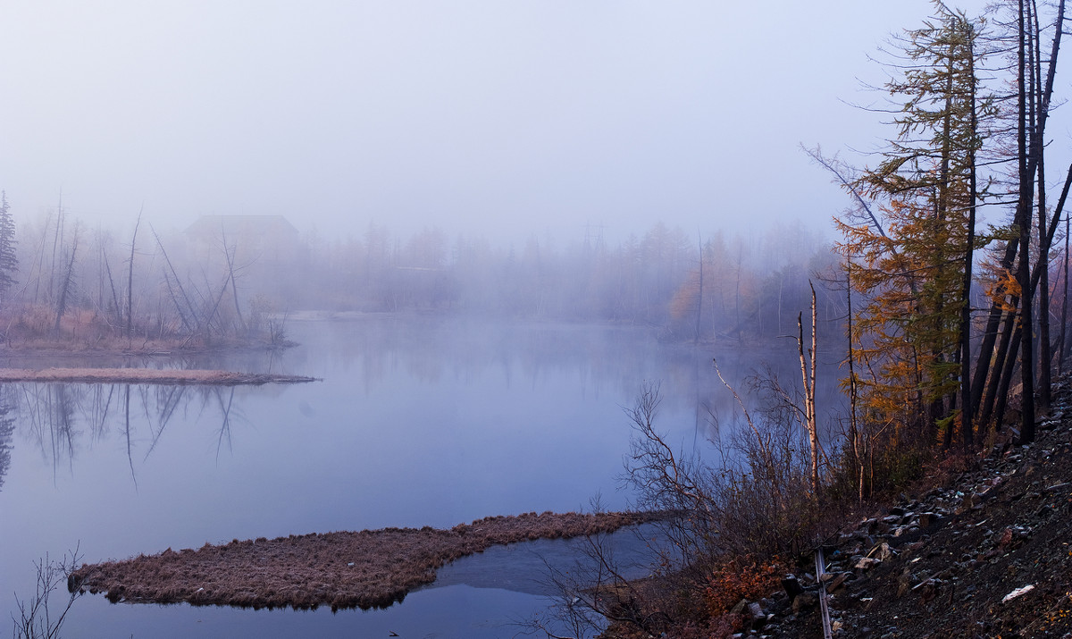 туман - Андрей Кийко туман - Андрей Кийко