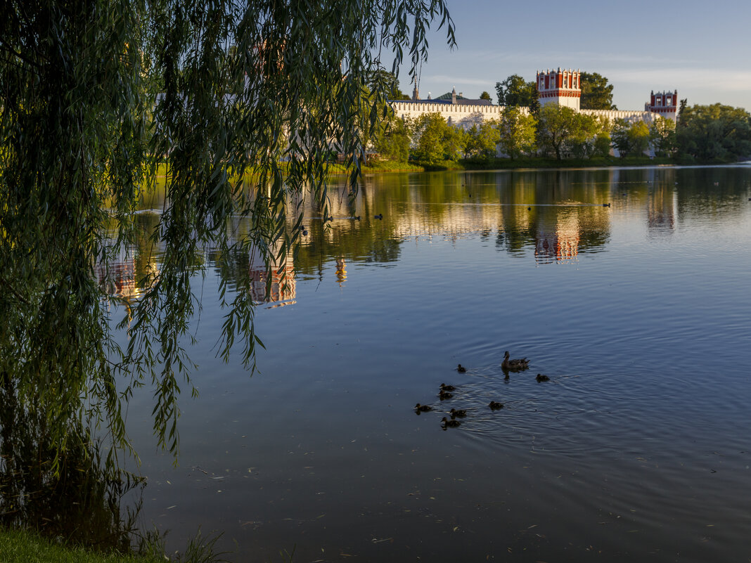 Новодевичий монастырь - Евгений Бубнов