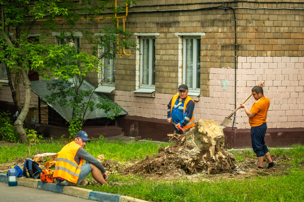 ИСКОРЕНИТЕЛИ - Сергей Янович Микк