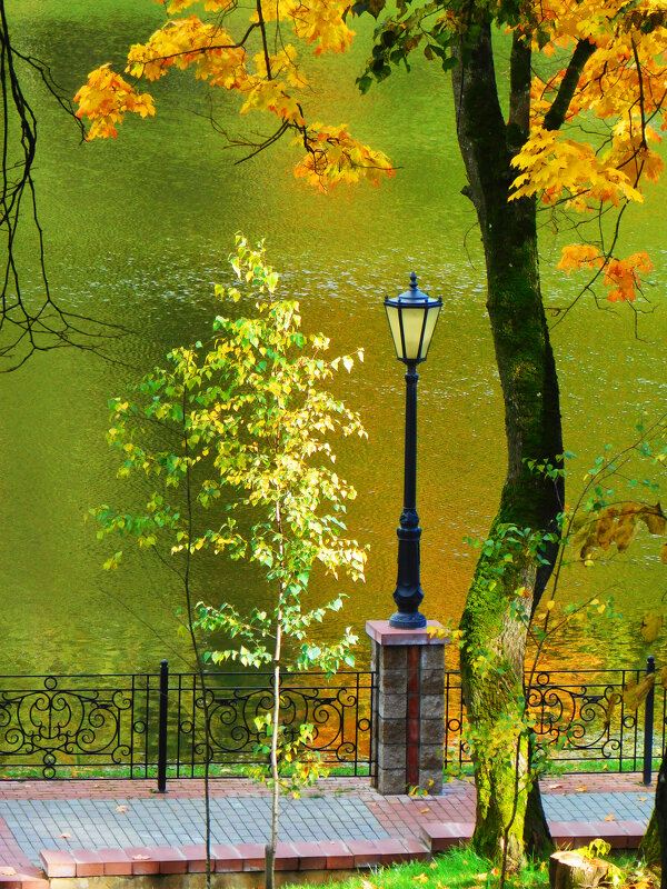 Природа - Наталья Шестакова