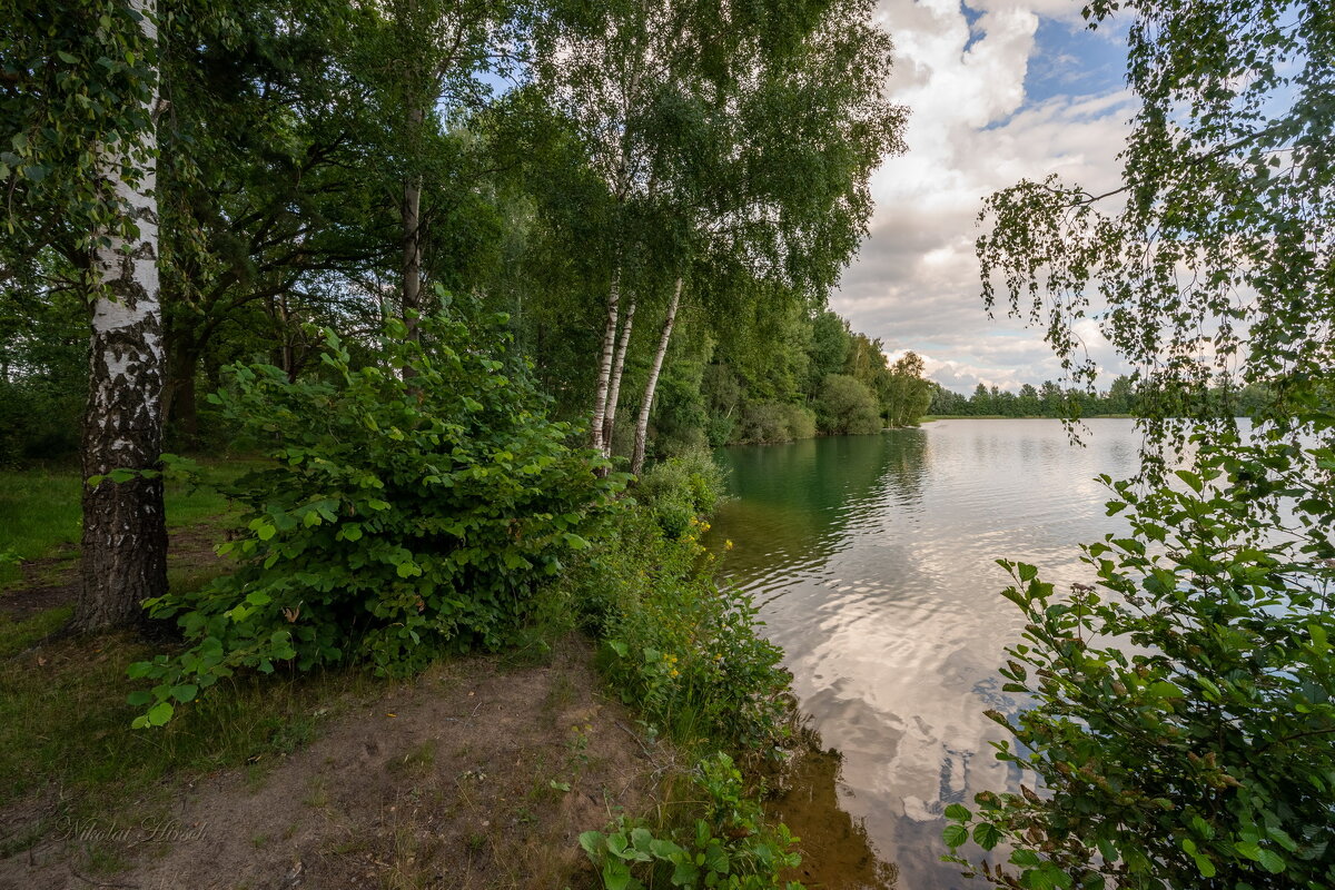 На старом песчаном карьере - Николай Гирш