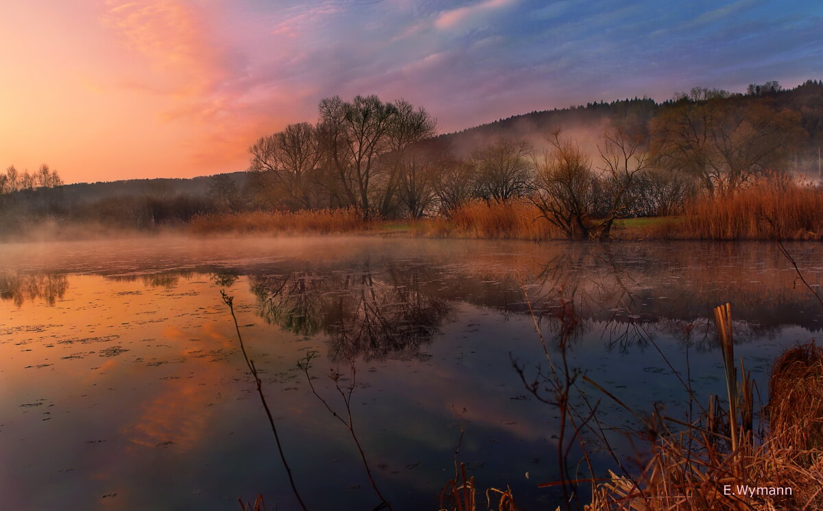 misty morning - Elena Wymann