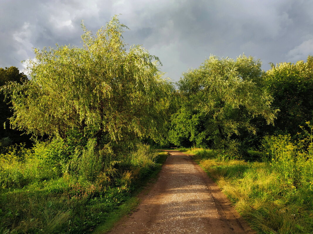 После дождя, но перед дождем - Андрей Лукьянов После дождя, но перед дождем - Андрей Лукьянов